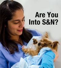 Spay and Neuter