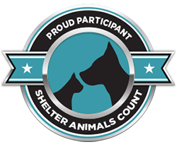 Shelter Animals Count