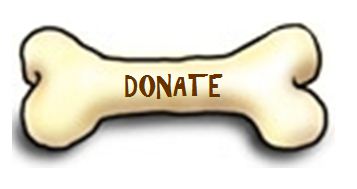 Donate