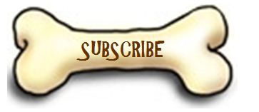 Subscribe to Newsletter