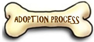 Adoption Process